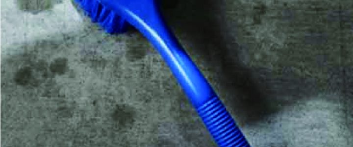 GML清潔刷-藍 31563