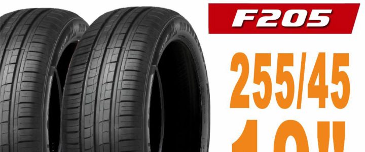 【Minervac 米納瓦 】F205 米納瓦運動操控電動車轎車輪胎 二入組 255/45/19適用車款特斯拉Model Y等(安托華)