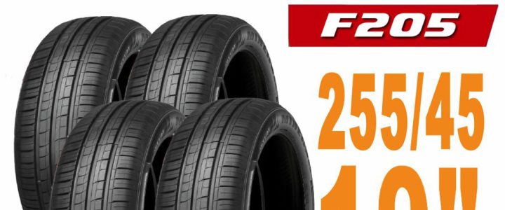 【Minervac 米納瓦 】F205 米納瓦運動操控電動車轎車輪胎 四入組 255/45/19適用車款特斯拉Model Y等(安托華)